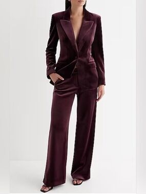 NWT EXPRESS Editor Mid Rise Velvet Relaxed Trouser Pant